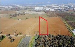 KEMALPAŞA MERKEZE YAKIN SOĞUK HAVA DEPO İMARLI SATILIK TARLA